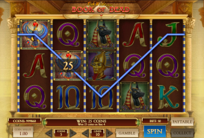 The Book of Dead Slot